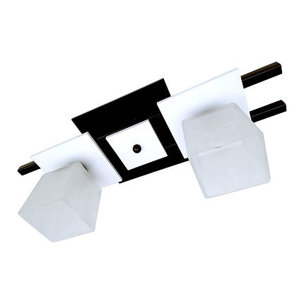 Світильник стельовий на 2 плафони для кухні, спальні, дитячої, коридору Данко/2 коричнево-білий, фото 1