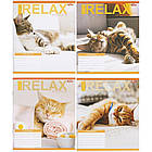 Зошит на 24 аркуші з кольоровою обкладинкою в лінію "Мрії" "mix" Упаковка 16 шт., фото 6