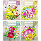 Зошит на 24 аркуші з кольоровою обкладинкою в лінію "Мрії" "mix" Упаковка 16 шт., фото 8