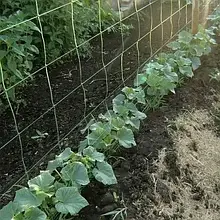 Шпалерні матеріали