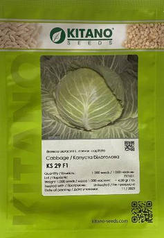 KS 29 F1 1000 шт Kitano Seeds Капуста Білокочанна Насіння (Капуста Білокачанна Насіння)