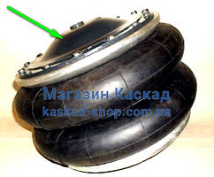 T01129 кришка пневморесори автомобіля TATRA EURO, Phoenix