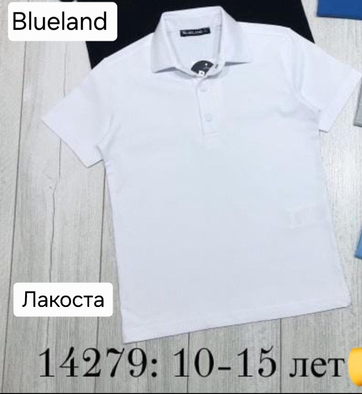 Футболка поло біла для хлопчиків 158,164,170,176 зросту Лакоста DOFFBI, фото 1