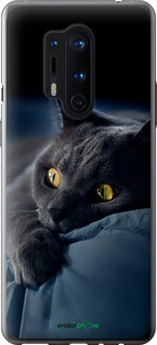 Чохол на OnePlus 8 Pro Димчастий кіт "825u-1896-72104", фото 1