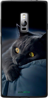 Чохол на OnePlus 2 Димчастий кіт "825u-386-72104", фото 1