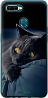 Чохол на Oppo A5S Димчастий кіт "825u-1892-72104"