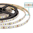 Набір 2 шт Світлодіодна LED стрічка 5м, 12V, RGB 3528 + пульт + блок / Неонова стрічка / Підсвічування в кімнату, фото 8