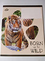 Зошит шкільний 24 листа клітинка ТМ Бріск ТВ-109* Бріск