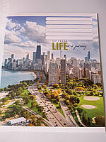 Зошит шкільний 24 аркуша лінія картонна обкладинка червоні поля офсет Бріск TB24LIN