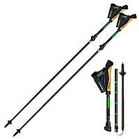 Карбонові палиці