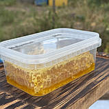 2025 р Стільники (соти) меду різнотрав'я - соняшник 300 грам, фото 4