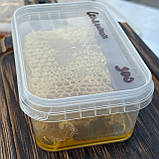 2025 р Стільники (соти) меду різнотрав'я - соняшник 300 грам, фото 3