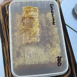 2025 р Стільники (соти) меду різнотрав'я - соняшник 700 грам, фото 2