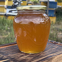 Мед Лісове Різнотрав'я з Липою натуральний з кочової пасіки 2025 р 0,7 л (950 грам)