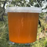 Мед Лісове Різнотрав'я з Липою натуральний з кочової пасіки 2025 р 1 л (1400 грам)