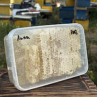 2025 р Стільники (соти) меду Липи на вагу порізані 700 грам