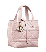 Dior Toujours Vertical Nano Tote Bag Powder