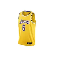 Urbanshop com ua Майка чоловіча Nike Lebron James Lakers Icon Edition (CW3669-738) РОЗМІРИ ЗАПИТУЙТЕ