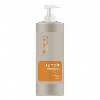 Шампунь для пошкодженого волосся з аргановим маслом Romantic Professional Repair 850мл