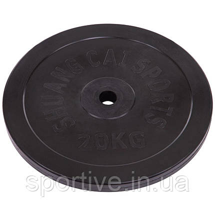 Диски прогумовані внутрішній ø 30 мм SHUANG CAI SPORTS TA-2188-20S 20 кг (метал, гума, чорний), фото 1