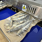 Конвеєрний запайщик пакетів FRB-770l lRON SS, фото 5