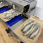 Конвеєрний запайщик пакетів FRB-770l lRON SS, фото 8