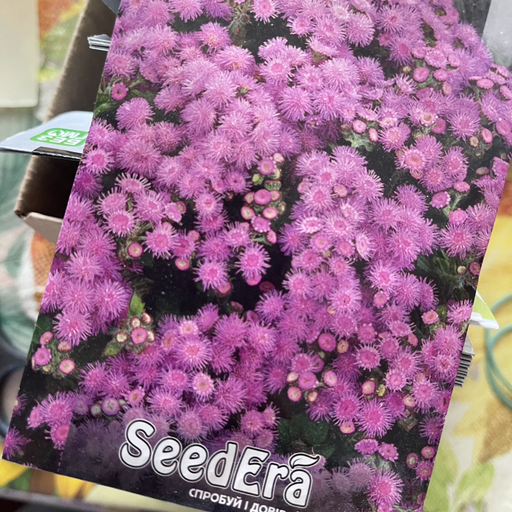 Агератам Ріжева куля 0.2 г Seedera, фото 1