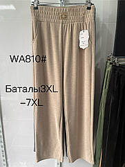 Брюкі женские 52 до 62   пачка 6 шт   висший сорт