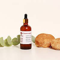 Настойка львиной гривы двойной вытянут из свежих органических плодовых тел