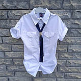 Блуза біла з синьою краваткою, Туреччина, фото 4