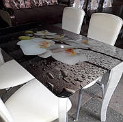 Скляний стіл для кухні з малюнком ДКС Класик Антонік, колір на вибір