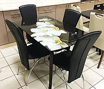 Стіл обідній зі скляною стільницею ДКС Класик-4 Антонік, колір на вибір