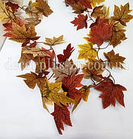 Ліана клен " Осінь" різнокольорова 1,80м