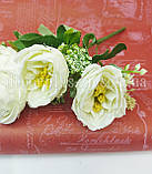 Букет " Троянда чайна" (5 гілок) , айворі, фото 2