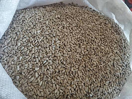 Насіння Соняшника,Україна