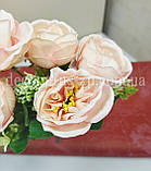 Букет " Троянда чайна" (5 гілок) , персиково-рожева, фото 2