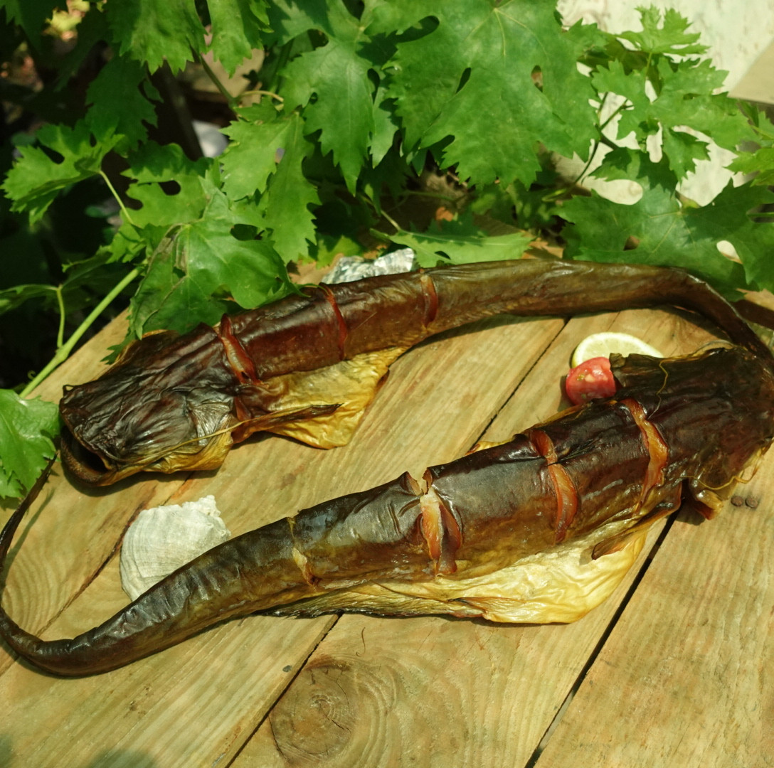 Сом холодного копчення, річковий, ціла тушка з головою, 200 - 400 гр/шт наважка, ціна за 1 кг, фото 1
