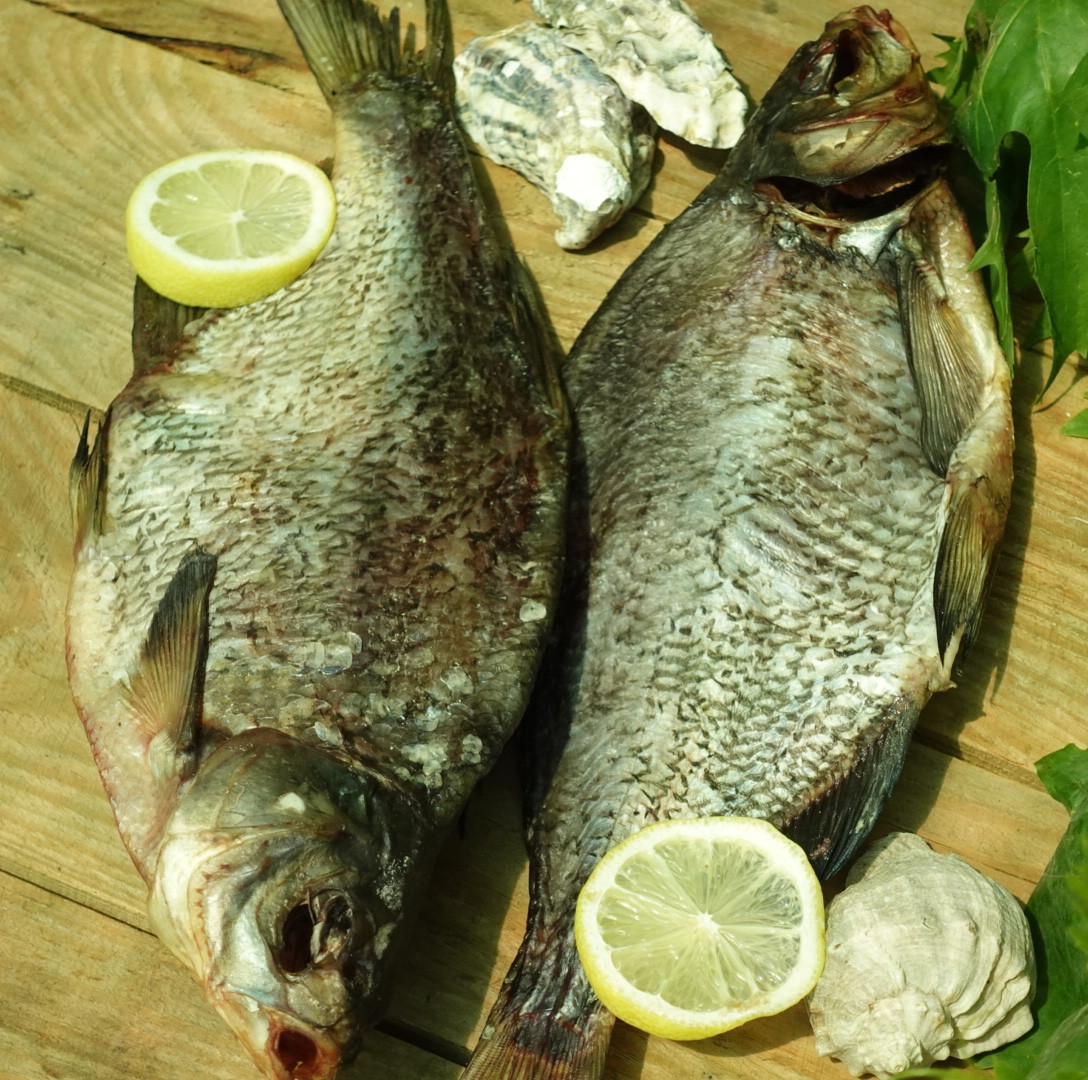 Лящ в'ялений без ікри, розмір 300-500грам - фото 1 - id-p2295184572