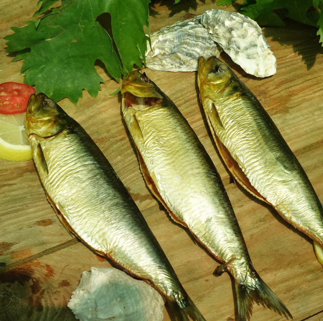 Оселедець дунайський холодного копчення - фото 1 - id-p933278300