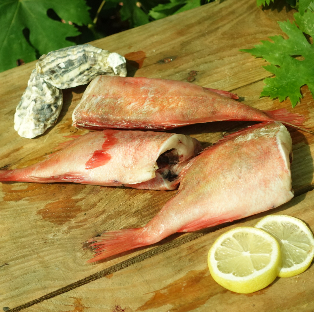 Морський окунь з/м без голови 500+ грам, фото 1