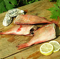 Морський окунь з/м без голови 500+ грам