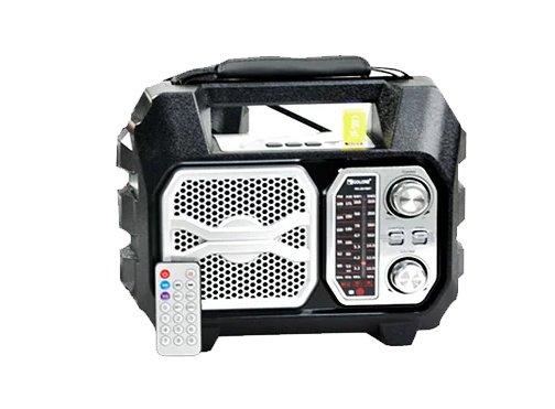 Радіоприймач RX 2019 178641, фото 1