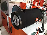 Колонка bluetooth (1 сорт) XTREME 2 BIG, фото 4