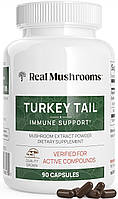 Real Mushrooms Turkey Tail / Трутовик різнокольоровий для підтримки імунітету 90 капсул