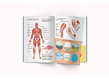 Книга Crystal Book Книга з наклейками. Тіло людини F00027785, фото 2