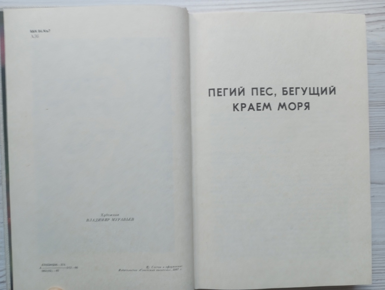 Product image preview