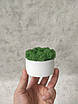 Горщик білий з декоративним мохом, фото 2