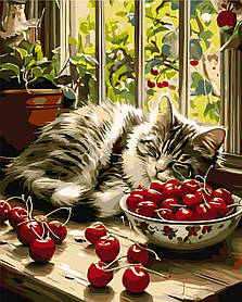 Картина за номерами Тварини. Спляче кошеня на вікні 40*50 см Орігамі LW 3510