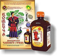 Комбуча (чайний гриб)