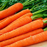 Морква "Лисичка сестричка" 20г